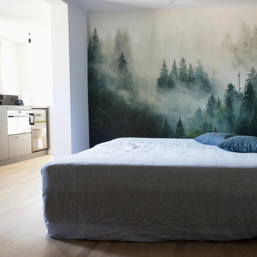 Ni Fravi Holiday Apartments, Interlaken West エクステリア 写真